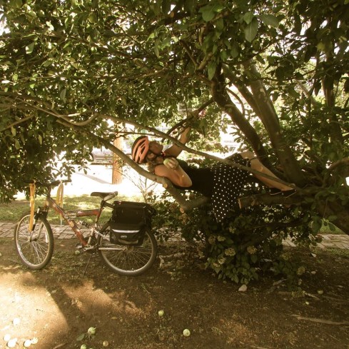 13438784_10153797008112887_5518534906651097553_n