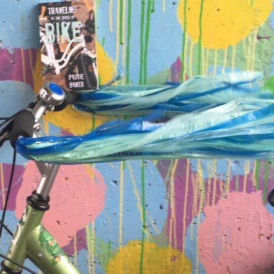 40785008391_ef2dc8d070_o