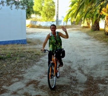 42533113261_7ae1eeec97_o