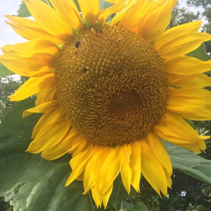 65C20241-3866-478F-BFE3-831081CE500C