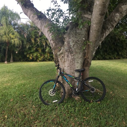 DEFFF98A-0A31-43AA-8764-1784F94C4B6F