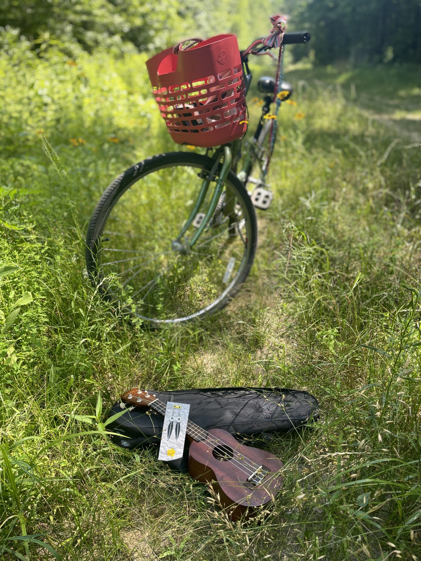 Bike, ukulele, and BikeBloom upcycled bike tube earrings on plantable packaging, in the wild