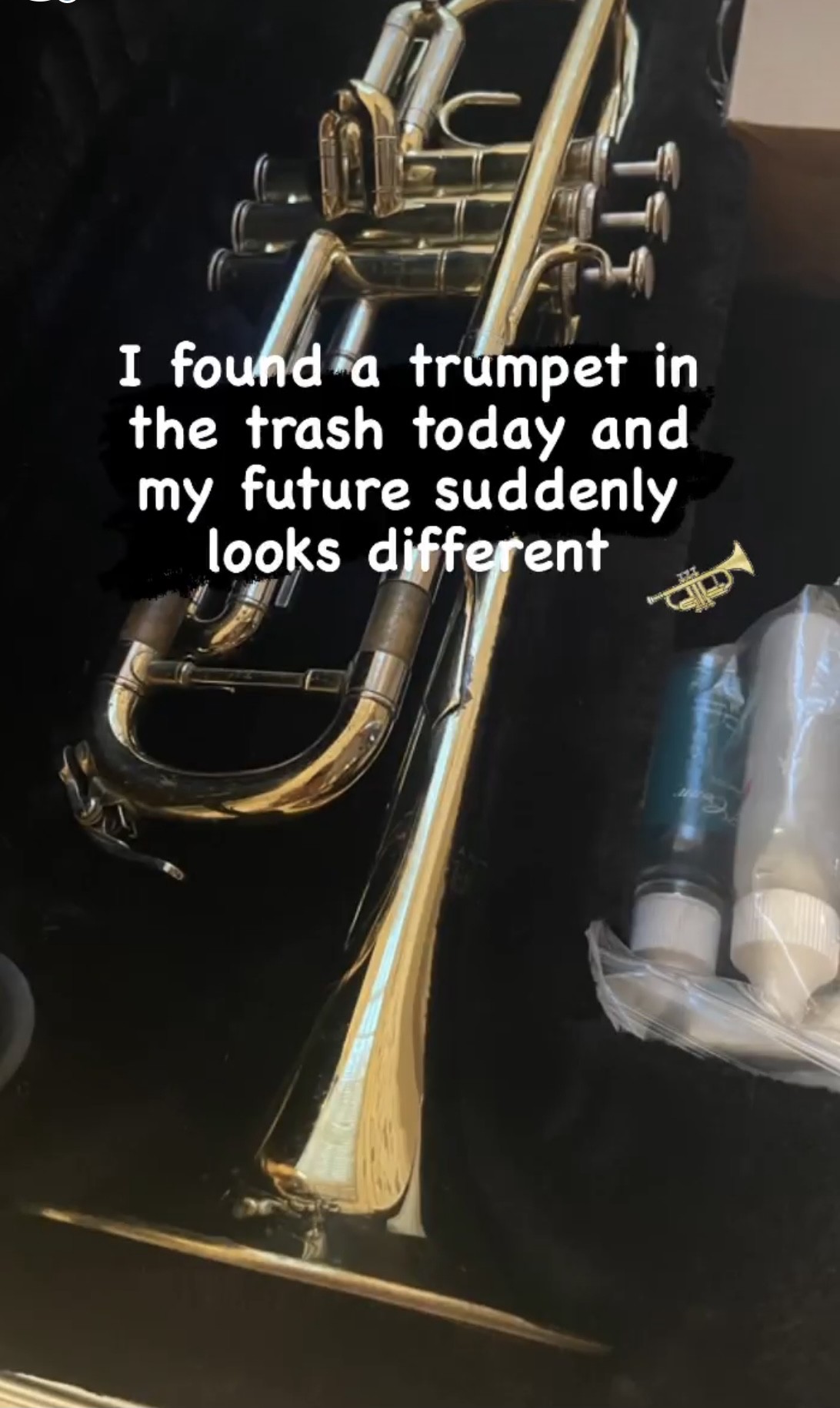 The trumpet I found!